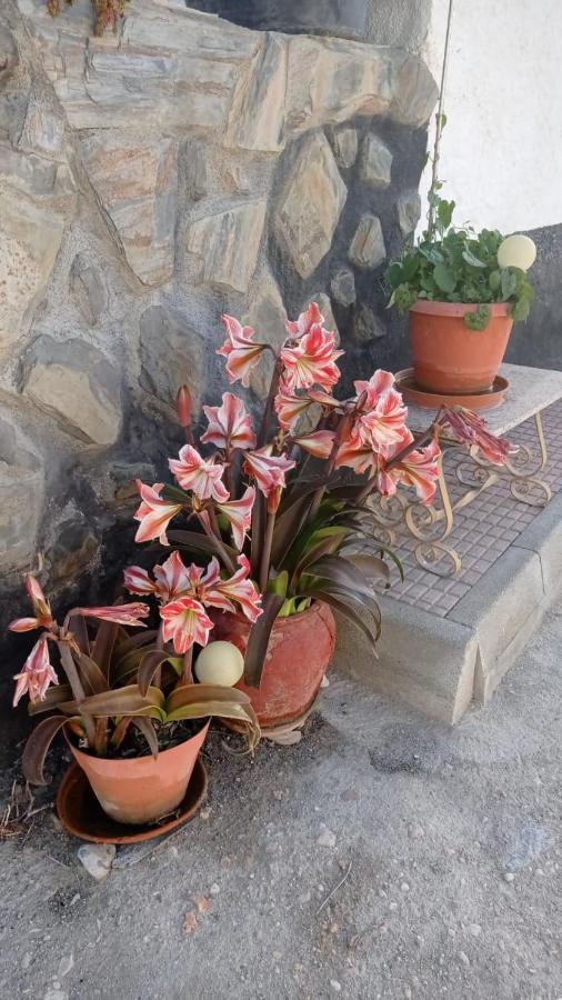 Willa Cueva De La Abuela Los Carriones Zewnętrze zdjęcie