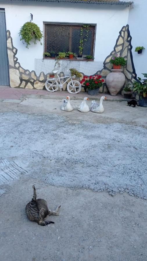 Willa Cueva De La Abuela Los Carriones Zewnętrze zdjęcie
