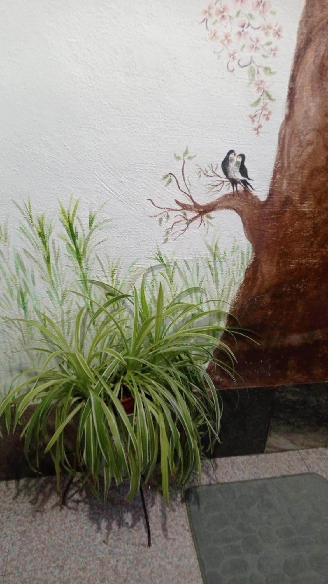 Willa Cueva De La Abuela Los Carriones Zewnętrze zdjęcie
